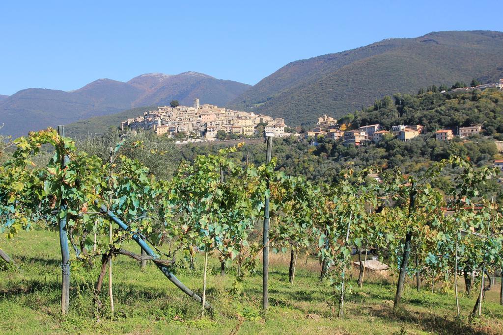 B&B Colle Perrini Country House Casperia Kültér fotó